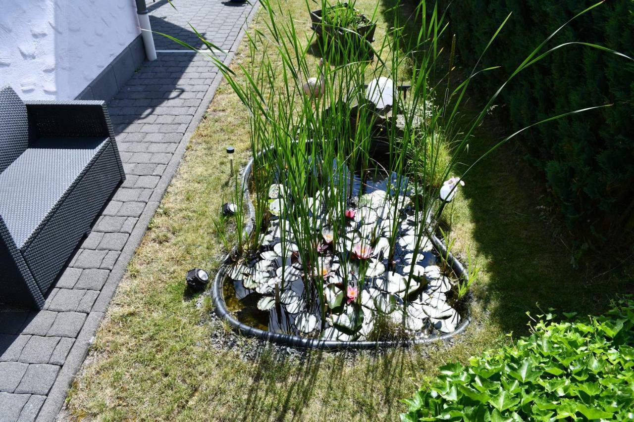Ferienwohnung Bellerbergblick Ettringen  Exteriör bild
